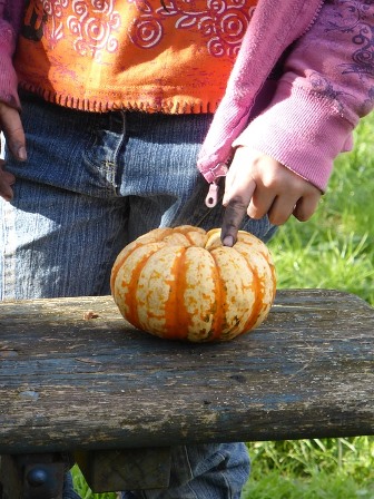Mano di un bambino che tocca una zucca Mano di un bambino che tocca una zucca